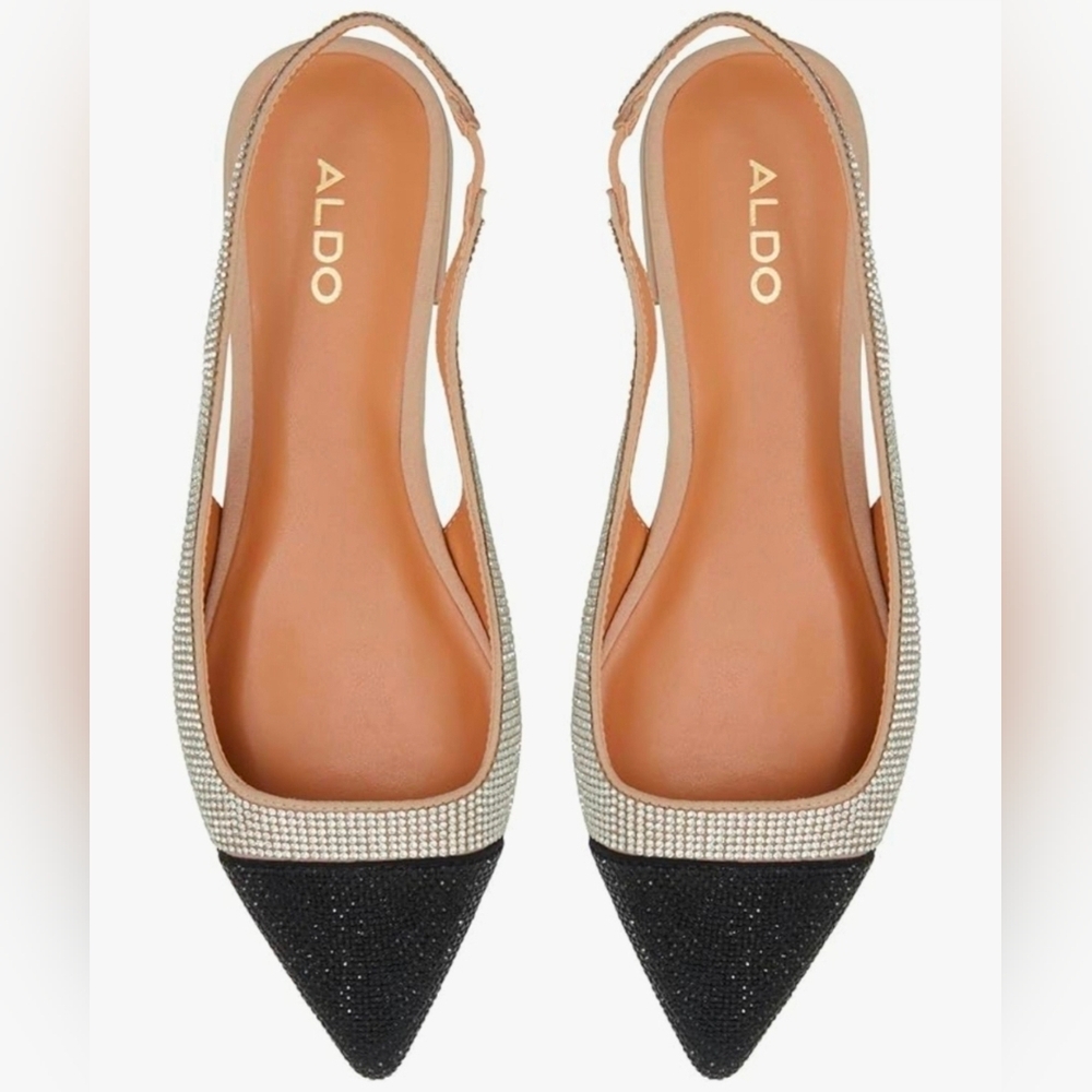 ALDO Women's Fleure Ballet Flat, Size: 7.5